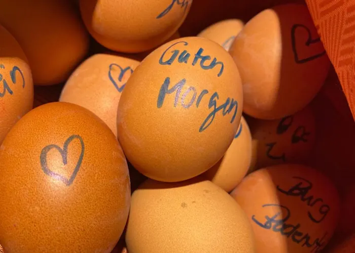 Burg Bodenstein Otel Adelsborn